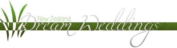 Chameleon Logo
