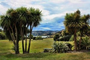 Peninsula Vineyard Stunning Wedding Vineyard